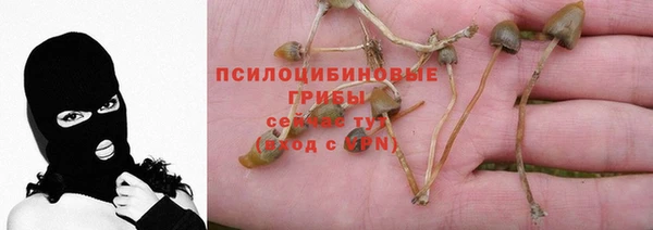 mix Дмитриев