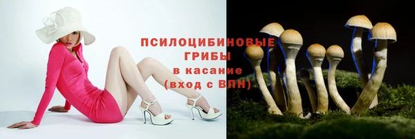 скорость Дмитров