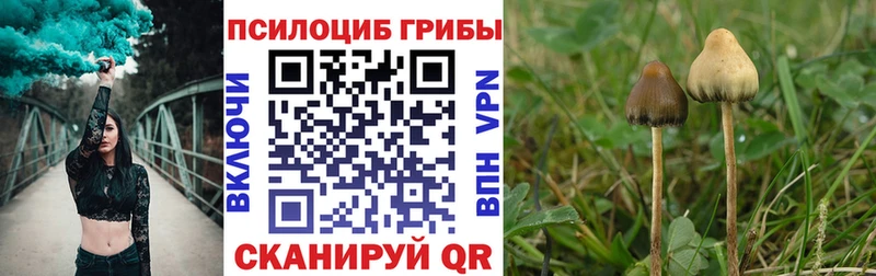 Псилоцибиновые грибы Cubensis  Дубна 