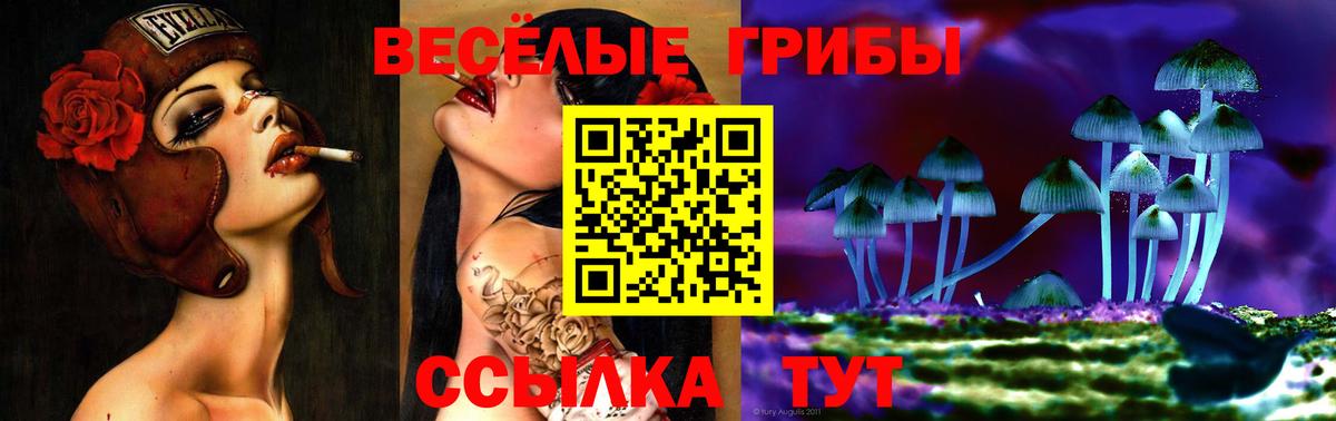 Галлюциногенные грибы MAGIC MUSHROOMS Дубна